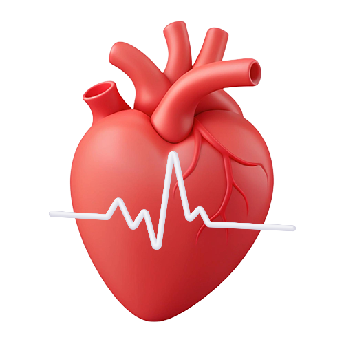 Cardiology